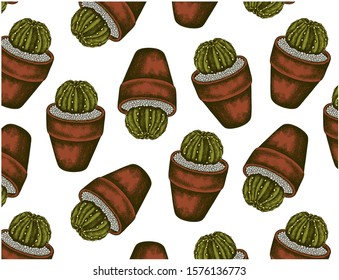 Vector illustration of sketch hand drawn pattern with green cactus in a pot isolated on white background. Vintage wallpaper with engraving cacti. Exotic, tropical succulents plant. Mexico, Spain.