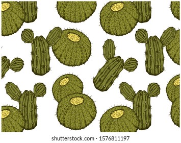 Vector illustration of sketch hand drawn pattern with green cacti isolated on white background. Vintage wallpaper with exotic cactus, tropical succulent plant. Engraving, line art style. Mexico, Spain