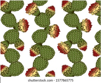 Vector illustration of sketch hand drawn pattern with green cacti, red cactus flower and opuntia isolated on white background. Tropical succulent plant. Floral wallpaper. Vintage, retro style. Mexico