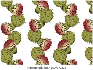 Vector illustration of sketch hand drawn pattern with green cacti and pink cactus flower isolated on white background. Vintage, retro, tropical wallpaper. Exotic succulent plant. Engraving, line art.