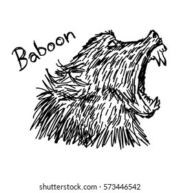 vector illustration sketch hand drawn with black lines of angry baboon isolated on white background