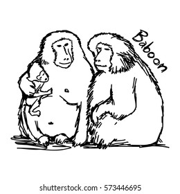 vector illustration sketch hand drawn with black lines of family baboon isolated on white background