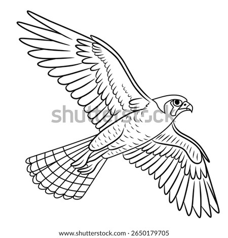 vector illustration sketch hand drawn with black lines of flying falcon