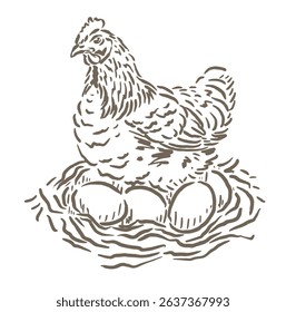 Vector illustration sketch of a hen incubating eggs in a cage that has been provided