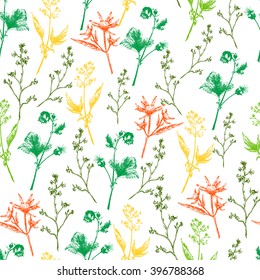 Vector Illustration of Sketch Herb and Wild Flowers for Design, Website, Background, Banner. Hand Drawn Seamless Pattern Element Template