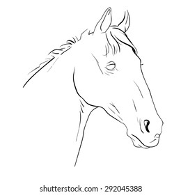 Vector illustration sketch of a horse's head