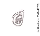 Vector illustration with sketch image of half of fig fruit. Outline drawing of cut fig. Exotic fruit. Black and white icon for thematic design. Vegetarian food.