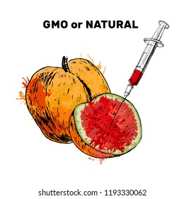 Vector illustration Sketch Injection into apricot  Concept for Genetically modified fruit   syringe and colorful chemical GMO food 
