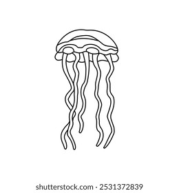 Vector Illustration sketch of jellyfish on a white background