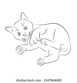Vector illustration. Sketch of a kitten.EPS 8