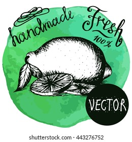 Vector illustration. Sketch of lemon, lime on green watercolor background. For menu design. Lettering Handmade and Fresh. Slices of lemon.