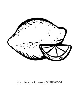 Vector illustration with sketch lemon. Set of doodle lemon on white background. Handy drawn fruits.