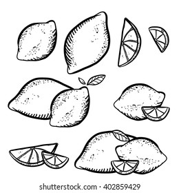 Vector illustration with sketch lemons. Set of doodle lemons on white background. Handy drawn fruits.