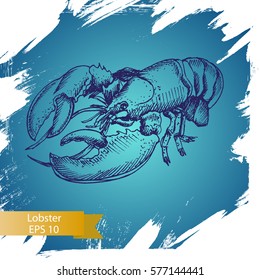 Vector illustration sketch - lobster
