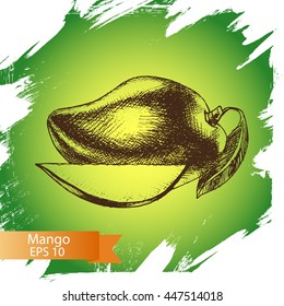 Vector illustration sketch mango.
Illustration - fruit.