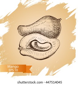Vector illustration sketch mango.
Illustration - fruit.
