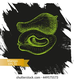 Vector illustration sketch mango.
Illustration - fruit.