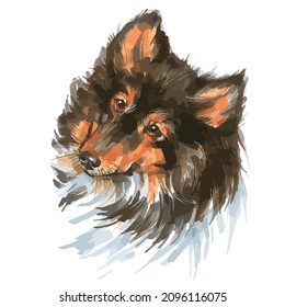 Vector illustration of sketch markers of collie portrait.