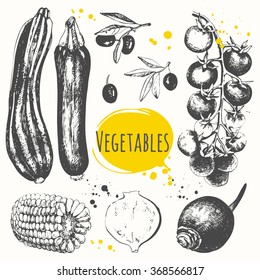 Vector illustration with sketch of mediterranean vegetable. Set of hand drawn zucchini, corn, cherry tomatoes, olives, black radish. Black and white fresh organic food. 