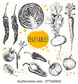 Vector illustration with sketch of mediterranean vegetables. Set of hand drawn zucchini, cherry tomatoes, onions, carrots, cabbage, peppers, turnips. Fresh organic food. Black and white.
