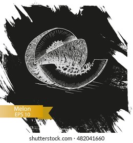 Vector illustration sketch melon