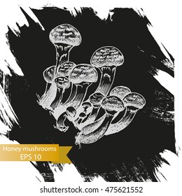Vector illustration sketch - mushrooms.
Honey mushrooms