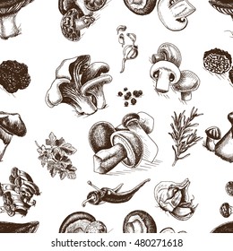 Vector illustration sketch - mushrooms - Russula mushrooms, Truffle, Honey mushrooms, Field mushrooms, Shiitake, Boletus, Ceps, Chanterelle