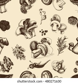 Vector illustration sketch - mushrooms - Russula mushrooms, Truffle, Honey mushrooms, Field mushrooms, Shiitake, Boletus, Ceps, Chanterelle