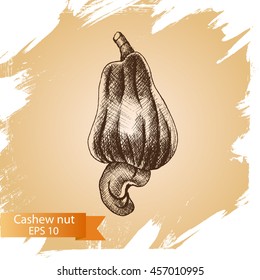 Vector illustration sketch nuts.
Cashew nut