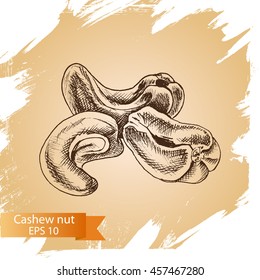 Vector illustration sketch nuts.
Cashew nut