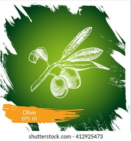 Vector illustration sketch  olives.