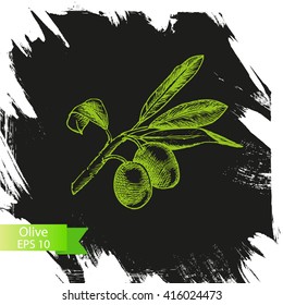 Vector illustration sketch  olives.