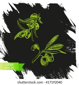 Vector illustration sketch  olives.