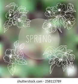 vector illustration. Sketch on spring apple flowers on blurred background