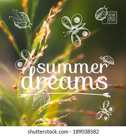 vector illustration. Sketch on summer holiday on the background images. butterflies  on a background of grass and sunlight