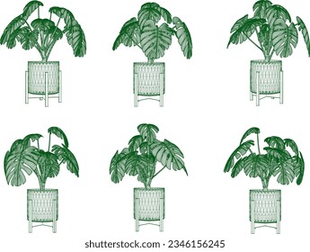 Vector illustration sketch of ornamental plants in pots for afforestation