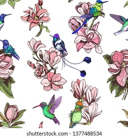 Vector illustration sketch pattern - card with flowers magnolia and hummingbird. 