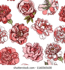 Vector illustration sketch - pattern with flowers chrysanthemum, peony. Colorful flowers vector illustration.