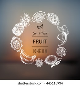 Vector illustration sketch  pineapple, banana, dragon fruit, citrus.
Illustration - fruit.