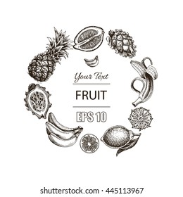 Vector illustration sketch  pineapple, banana, dragon fruit, citrus.
Illustration - fruit.