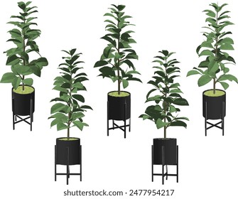 Vector illustration sketch of potted plant design for home interior decoration