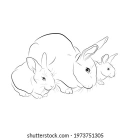 Vector illustration. A sketch of a rabbit with cubs. EPS 8