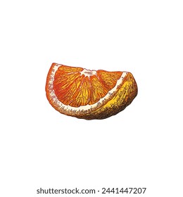 Vector illustration of a sketch of a ripe bright orange half of an orange, hand-drawn on a white background, ideal for the design of food icons and botanical art.