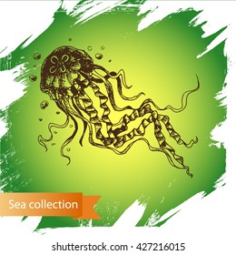 Vector illustration sketch - Sea collection.
jellyfish