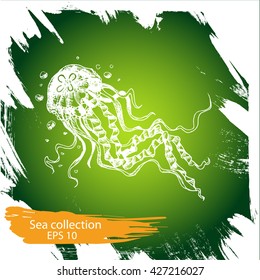 Vector illustration sketch - Sea collection.
jellyfish