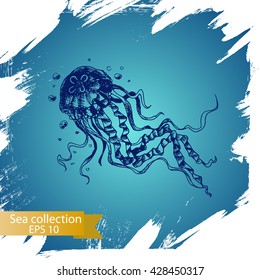 Vector illustration sketch - Sea collection.
jellyfish