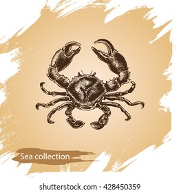 Vector illustration sketch - Sea collection.
crab