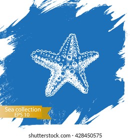 Vector illustration sketch - Sea collection.
starfish, sea star.