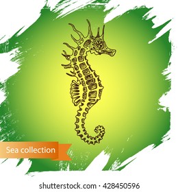 Vector illustration sketch - Sea collection.
seahorse, sea horse, hippocampus