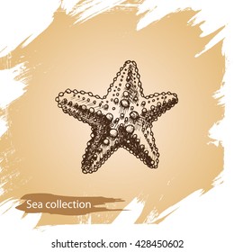 Vector illustration sketch - Sea collection.
starfish, sea star.